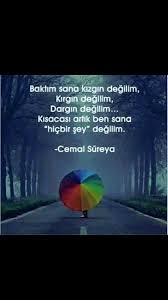 Baktim Sana Kizgin Degilim Kirgin Degilim Dargin Degilim Kisacasi Artik Ben Sana Hicbir Sey Degilim Cemal Sureya Siir