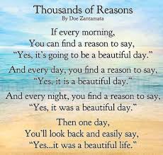 Love wisdom quotes words quotes quotes to live by prayer quotes daily quotes the words inspirational quotes pictures motivational quotes funny quotes. Quotes Tuesday Fun Quotesgram