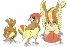 pidgey family by klouku coloured by seth65 fur affinity