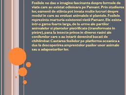 Sirpfisa recapitulativaciteste cu atenţie textul:povestea spune că a fost odată un de ce să foloseşti brainly? Fosile Imortalizate Fosilele Ne Dau O Imagine Fascinanta Despre Formele De Viata Care Au Existat Odinioara Pe Pamant Prin Studierea Lor Oamenii De Ppt Download