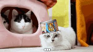 Https Encrypted Tbn0 Gstatic Com Images Q Tbn And9gctbtzce7ih1x Ghdnklvqx64mbjvt Xsabybg Usqp Cau