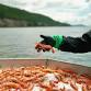Spot Prawn Day