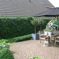 Need the best privacy hedge for your yard? Hedging For Privacy Best4hedging