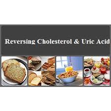 reversing cholesterol and uric acid