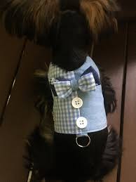 Handmade Denim Pets Clothing With Matching Blue Checkers
