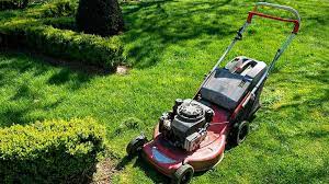 We can distinguish between lawn mowers in several ways. Best Lawn Mowers Australia 2020 A Good Lawnmower Is Essential If You By Aqureviews Medium