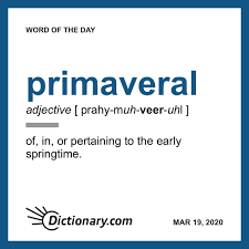 Primaveral Word Of The Day March 19 2020 In 2020 Uncommon Words Word Of The Day Words