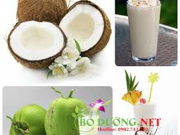 + dừa sáp, còn gọi là dừa đặc ruột, dừa kem, makapuno (philippines) . Dá»«a Sap La Gi Cach Äƒn Dá»«a Sap NhÆ° Tháº¿ Nao Gia Ban Bao Nhieu 1 Trai
