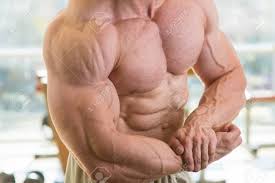 How to draw the torso with primitive shapes superficial muscles of the torso male and female anatomy orientation and landmarks to memorize rendering the forms heroic vs. Muscular Torso And Arms Bodybuilder With Huge Muscles Strong Mana S Torso Picture Of Muscular Torso Arms And Abs Stock Photo Picture And Royalty Free Image Image 50580461