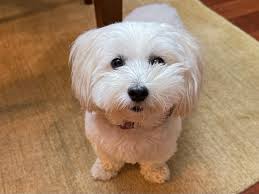 Astrología y Psicología x Amanda Arango님(@serendipity.astral)이 게시한 사진