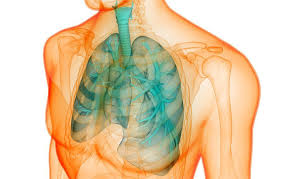 8 Signs Your Lungs Might Be Failing Prevention