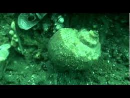 Marea neagra, cea pe care multi dintre noi o viziteaza pe timpul verii, indiferent ca este vorba despre tarmurile romnesti sau cele straine, are cateva explicatii pentru noi, care trebuie mentionate in cele ce urmeaza. Viata In Marea Neagra Youtube