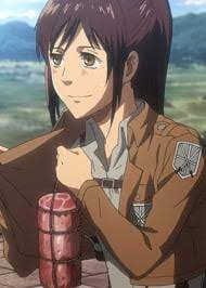 After her parents were murdered by human traffickers, mikasa was rescued by eren yeager and lived with him and his parents, grisha and carla, before the. Sasha Braus Anime Planet