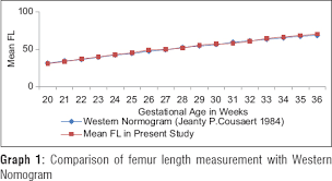 Morphometric Measurement Of Fetal Femur Length For The