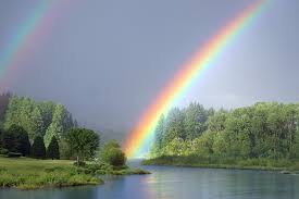 Check spelling or type a new query. Ø§Ù„ØºØ§Ø¨Ø© Ø¨Ø«Ø¨Ø§Øª ÙˆÙ„Ø§Ø¯Ø© Ù‚ÙˆØ³ Ù‚ÙˆØ³ Largeplasticbins Com