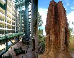 Biomimetic Architecture Green Building In Zimbabwe Modeled After Termite Mounds Biomimicry Architecture Residential Building Design Architecture