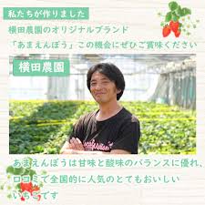 「注文後２〜３週間で発送」横田農園のあまえんぼう いちご大玉２パック（24~30粒）（450g×2）とちおとめ 福島県須賀川市産