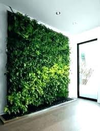 Farmhouse diy greenhouses using old windows. Diy Living Wall Indoor Decoration Indoor Living Wall Kits Herb Garden Homely Green Systems Walls S Vertical Garden Indoor Living Wall Indoor Indoor Plants Diy