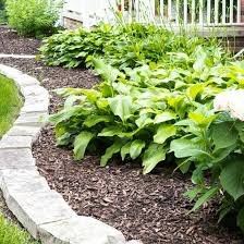 Front yard landscaping design ideas with thousands of pictures, informative articles and videos full of ideas for front yard landscape design. Hostas Care Transplanting Hostas Hosta Varieties Infographic