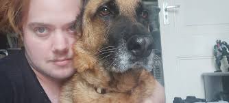 Service animal funding options?