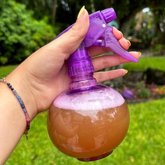 Homemade Mosquito Repellent — Is It Worth Trying?