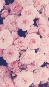 Pink Roses Iphone Wallpaper Gold Wallpaper Iphone Flower Wallpaper Pretty Wallpapers