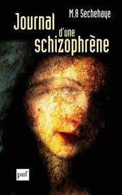 Other symptoms include social withdrawal, decreased emotional expression, and apathy. Journal D Une Schizophrene Auto Observation D Une Schizophrene Pendant Le Traitement Psychotherapique Bibliotheque De Psychanalyse French Edition Sechehaye Marguerite Albert 9782130537953 Amazon Com Books