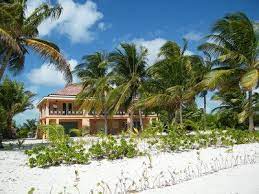 John mcafee is a computer programmer and founder of mcafee. Software Founder Mcafee Denies Killing Neighbor The Mercury News