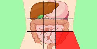 Female abdomen anatomy stomach, largeother times, there. Doctors Share A Belly Map That Reveals What Can Make Your Stomach Hurt