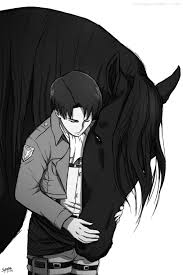 Horse Drawing Meme Attack On Titan Aye Capin Attack On Titan Levi Levi Ackerman Attack On Titan Anime attack on titan levi levi ackerman