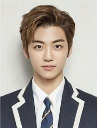 Misun Lee (Misunshi)