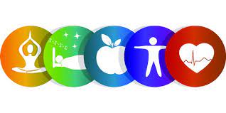 Users can identify and navigate to each component using the bookmarks sidebar of the pdf reader, such as adobe acrobat. Student Health Unit Gmit