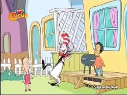 Sapkadaki Kedi Denge Gosterisi Dailymotion Video