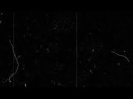 Vhs Overlay Sketch Youtube Gambar Bergerak Gambar Digital Gambar