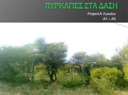 Νέα, ειδήσεις και όλη η επικαιρότητα στο www.enikos.gr, με την υπογραφή του νίκου χατζηνικολάου. Project A Lykeioy A1 A5 Prasinoi Pan8hres Arbaniths Basilhs Dhmos Nikos Zhsimopoylos Arhs Zwglopiths Xrhstos Xalakatebakhs Panos Ppt Katebasma