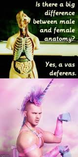 Image Tagged In Memes Unicorn Man Gender Imgflip