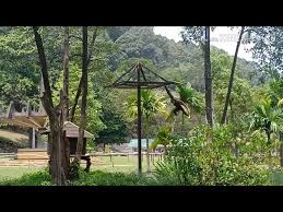 Pengumpulan biaya harga pokok tersebut untuk setiap jenis produk dicatat dalam kartu harga pokok pesanan. Mini Zoo Taman Teruntum Kuantan Destimap Destinations On Map
