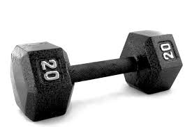 Onze pagina laat mensen zien dat ze fit kunnen worden door hun levensstijl te wijzigen. Signs Your Personal Trainer Might Be A Dumbbell Part 4 Get Fit With Kayla