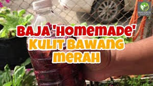 Roti goreng merupakan jajanan jadul alias jaman dulu. Cara Buat Baja Semula Jadi Guna Bawang Gula Merah Cukup Cute766