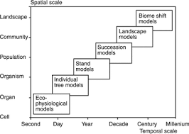 Die regeln für virusvariantengebiete sind deutlich strenger: Modelling Mixed Species Forest Stands Springerlink