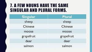 Maybe you would like to learn more about one of these? Singular And Plural Nouns Ppt Download