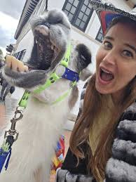 🎉 I've just turned 44! It's been over 10 years since I spent my birthday… 