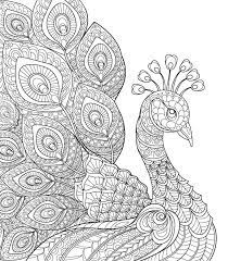 Animal mandala coloring pages are a great way to get your meditation on. Lovely Peacock Illustration Mural Peacock Illustration Peacock Coloring Pages Mandala Coloring Pages
