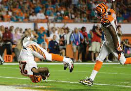 Bengals Dolphins Photo Gallery Bengals Dolphin Photos Bengals Football