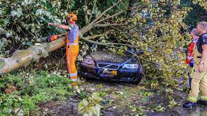 Ook best grote verschillen volgens weerplaza. Schade En Overlast In Noord Brabant En Limburg Door Noodweer Nos