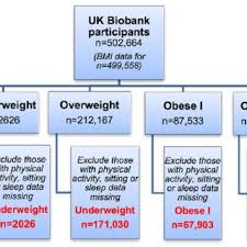 Odds 95 Ci Of Reporting Unhealthy Lifestyle Behaviours