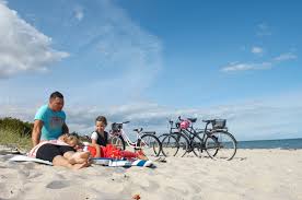 Sandy beautiful beach with lots of shade and forest. Saksild Strand Camping Scan Magazine