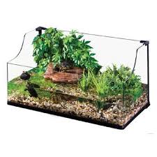 Exo Terra Bent Glass Turtle Terrarium Turtle Terrarium Turtle Habitat Turtle Aquarium