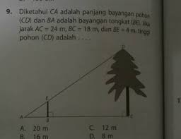 Dari gambar di atas, ketika objek berada di depan sebuah cermin datar, hanya terjadi satu kali pemantulan cahaya. Diketahui Ca Adalah Panjang Bayangan Pohon Cd Dan Be Adalah Bayangan Tongkat Be Jika Jarak Brainly Co Id