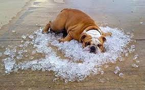 We did not find results for: Keeping Cool Extra Tips For Maximizing Your Hvac Southern Seasons Air